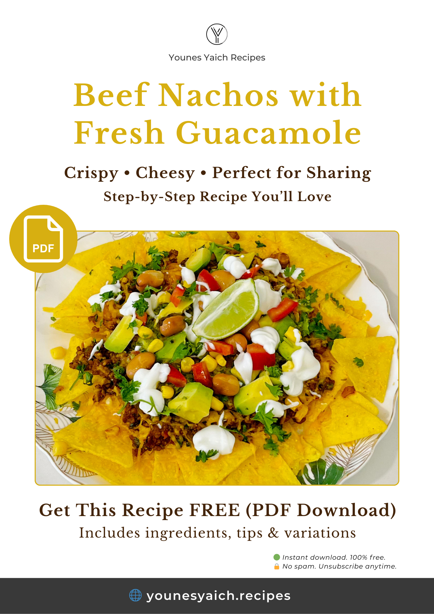 Beef Nachos with Fresh Guacamole